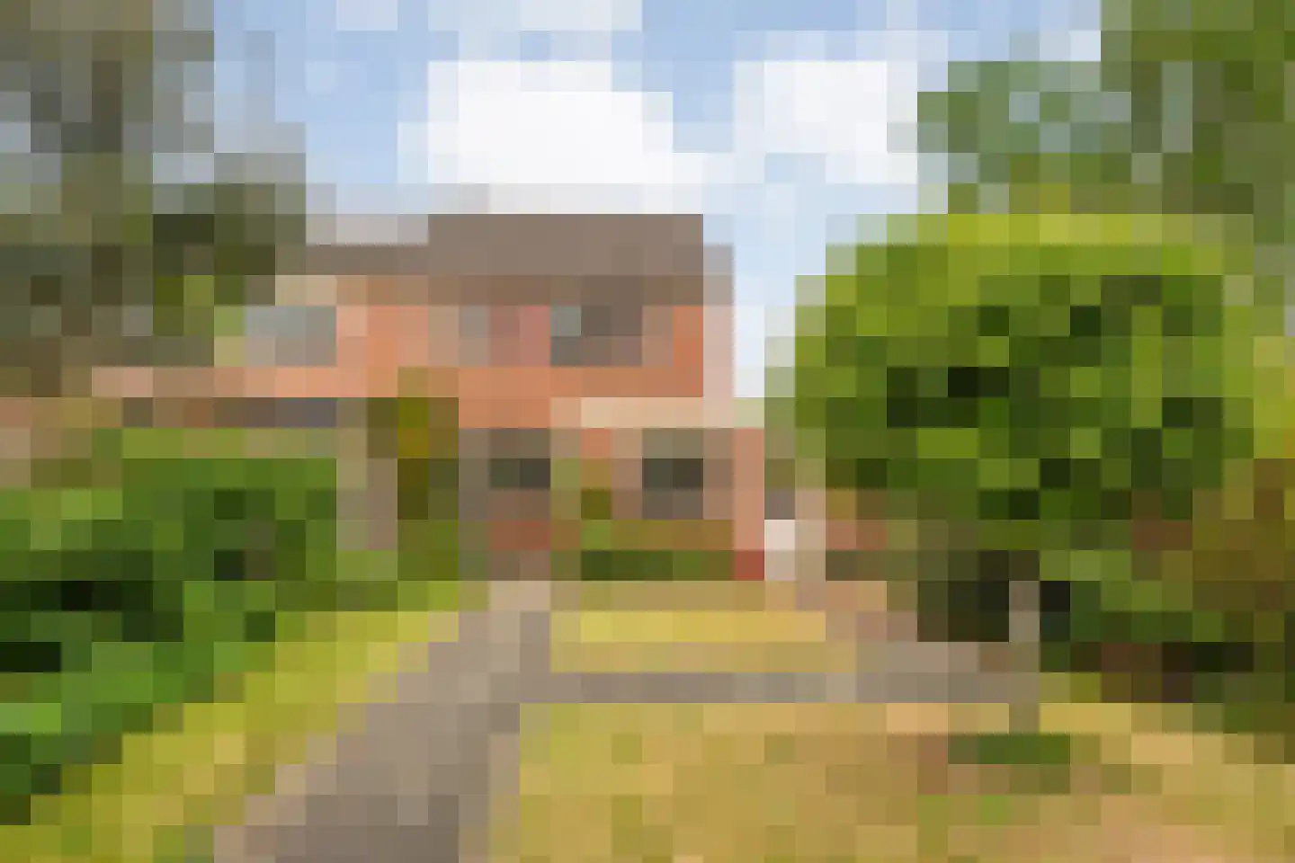 De Roerdomp 34 Dedemsvaart thumbnail 31