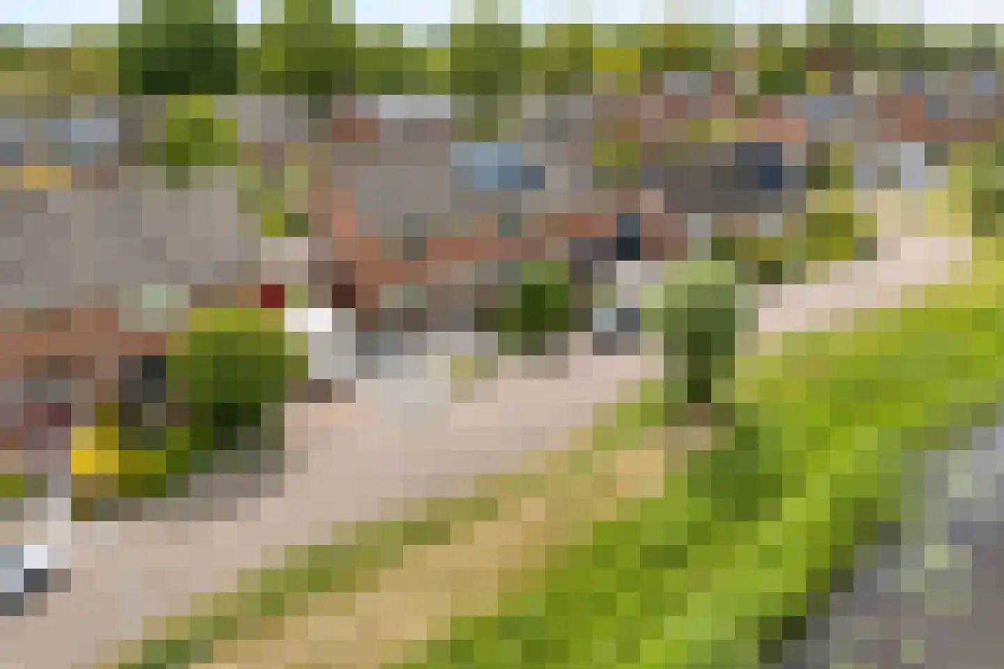 De Roerdomp 34 Dedemsvaart thumbnail 34