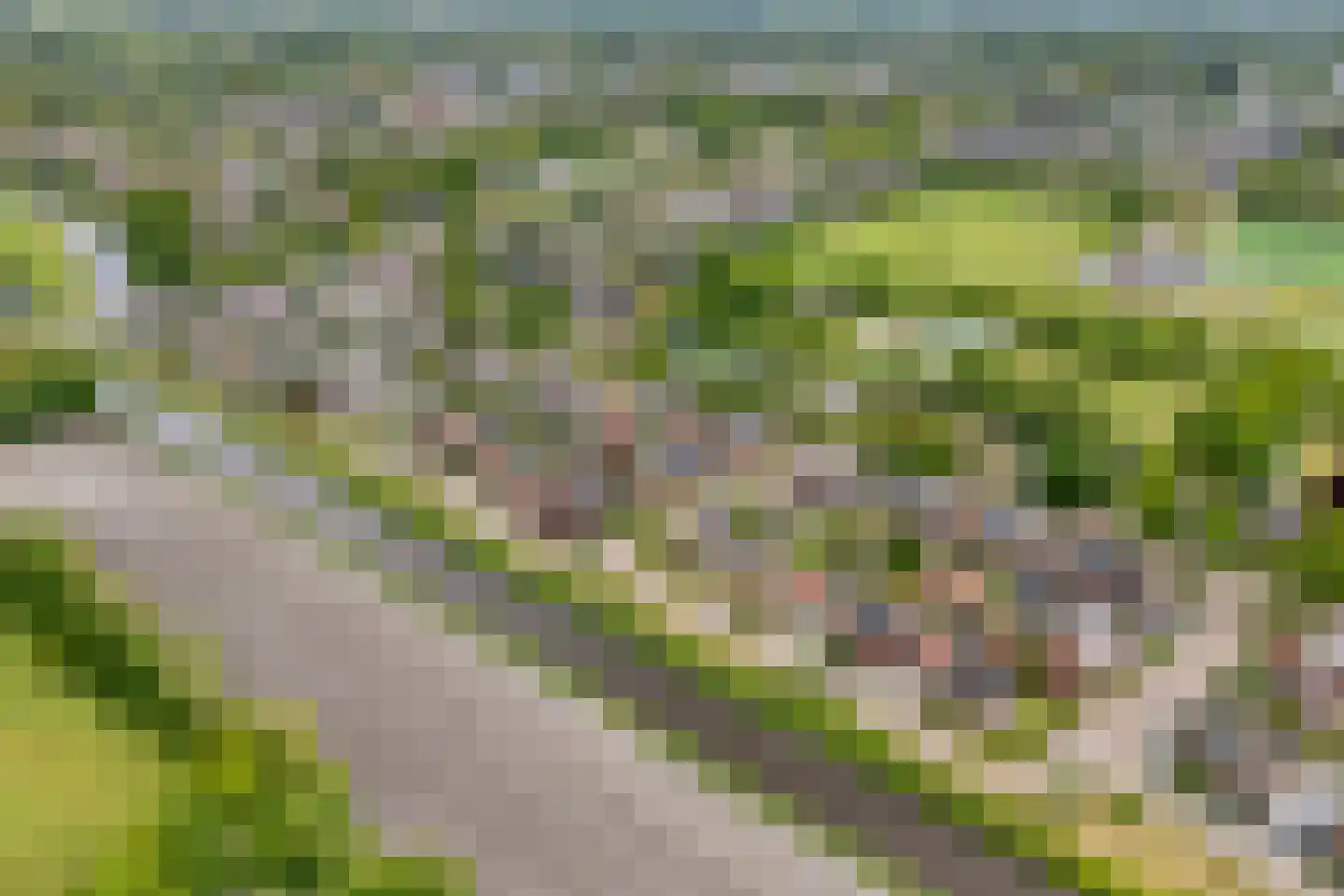 De Roerdomp 34 Dedemsvaart thumbnail 35