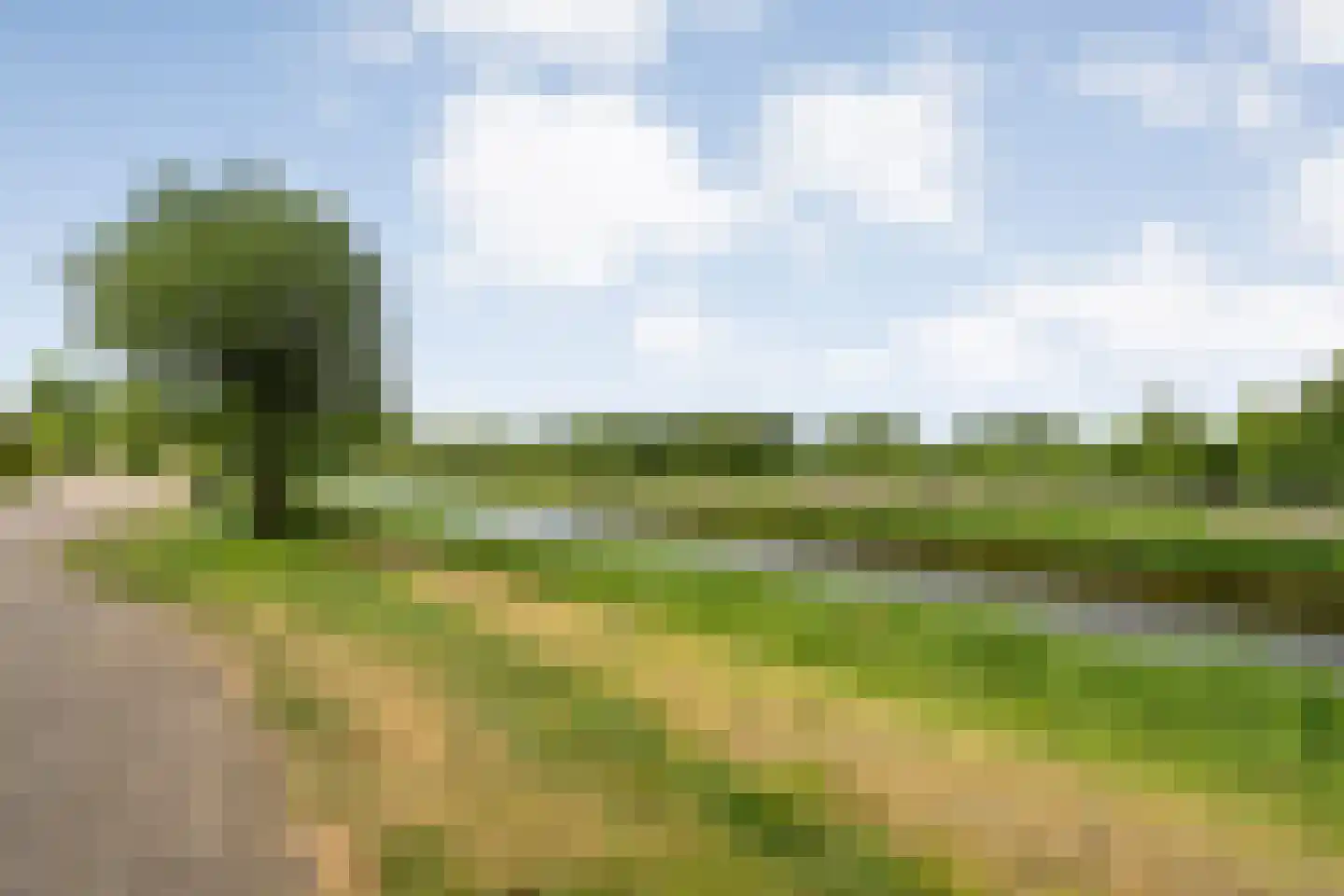 De Roerdomp 34 Dedemsvaart thumbnail 4