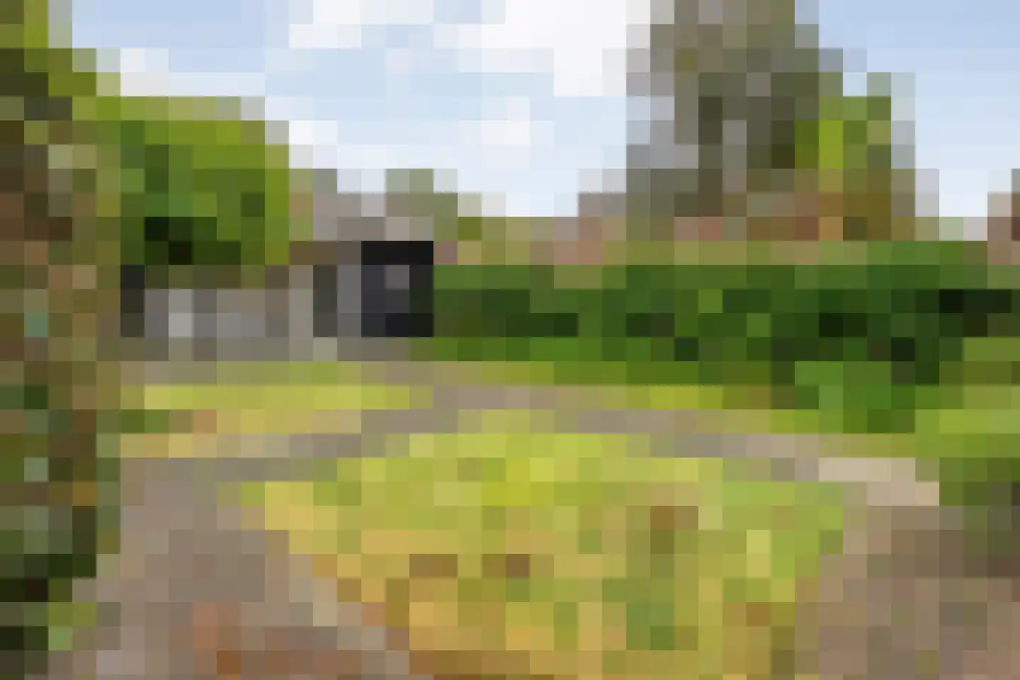De Roerdomp 34 Dedemsvaart thumbnail 5