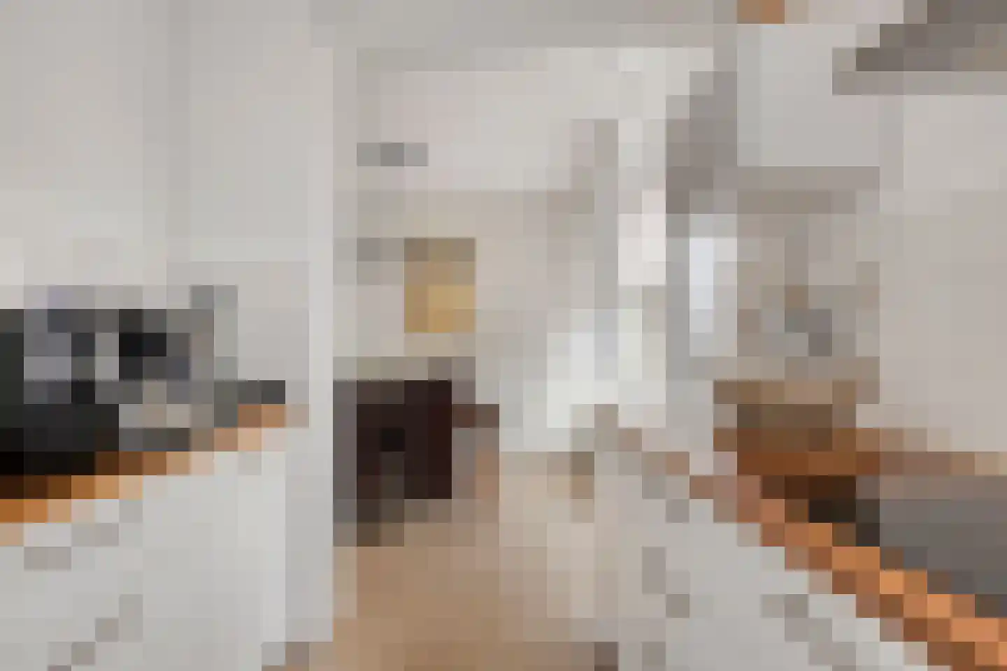 de Roerdomp 36 Denekamp thumbnail 11