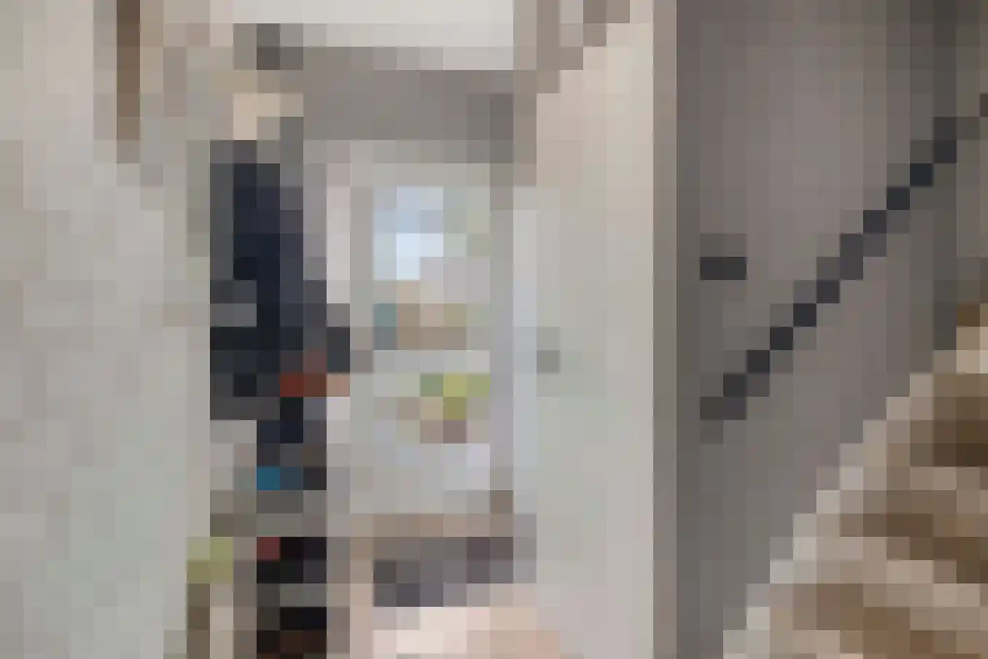 de Roerdomp 36 Denekamp thumbnail 13