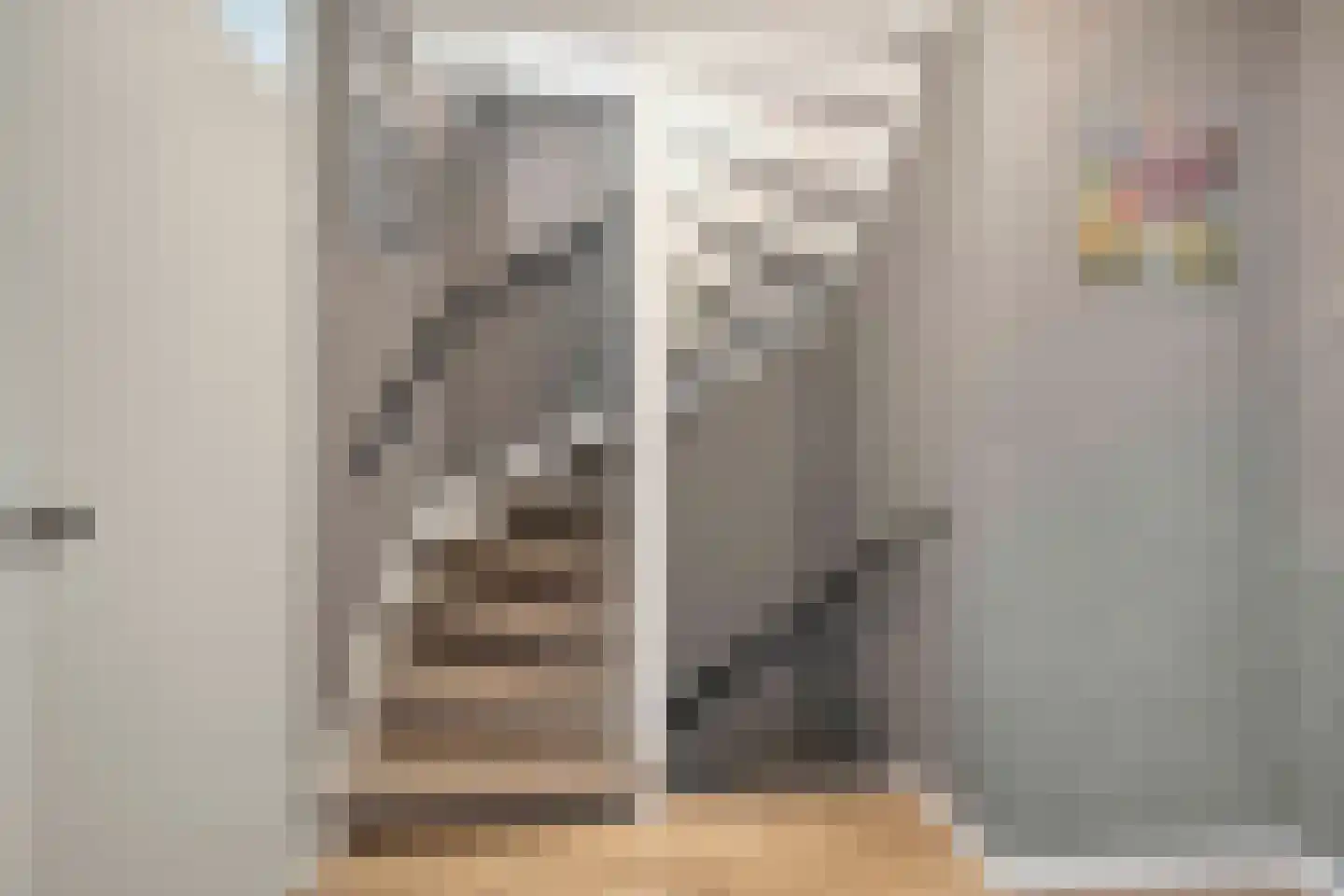 de Roerdomp 36 Denekamp thumbnail 14