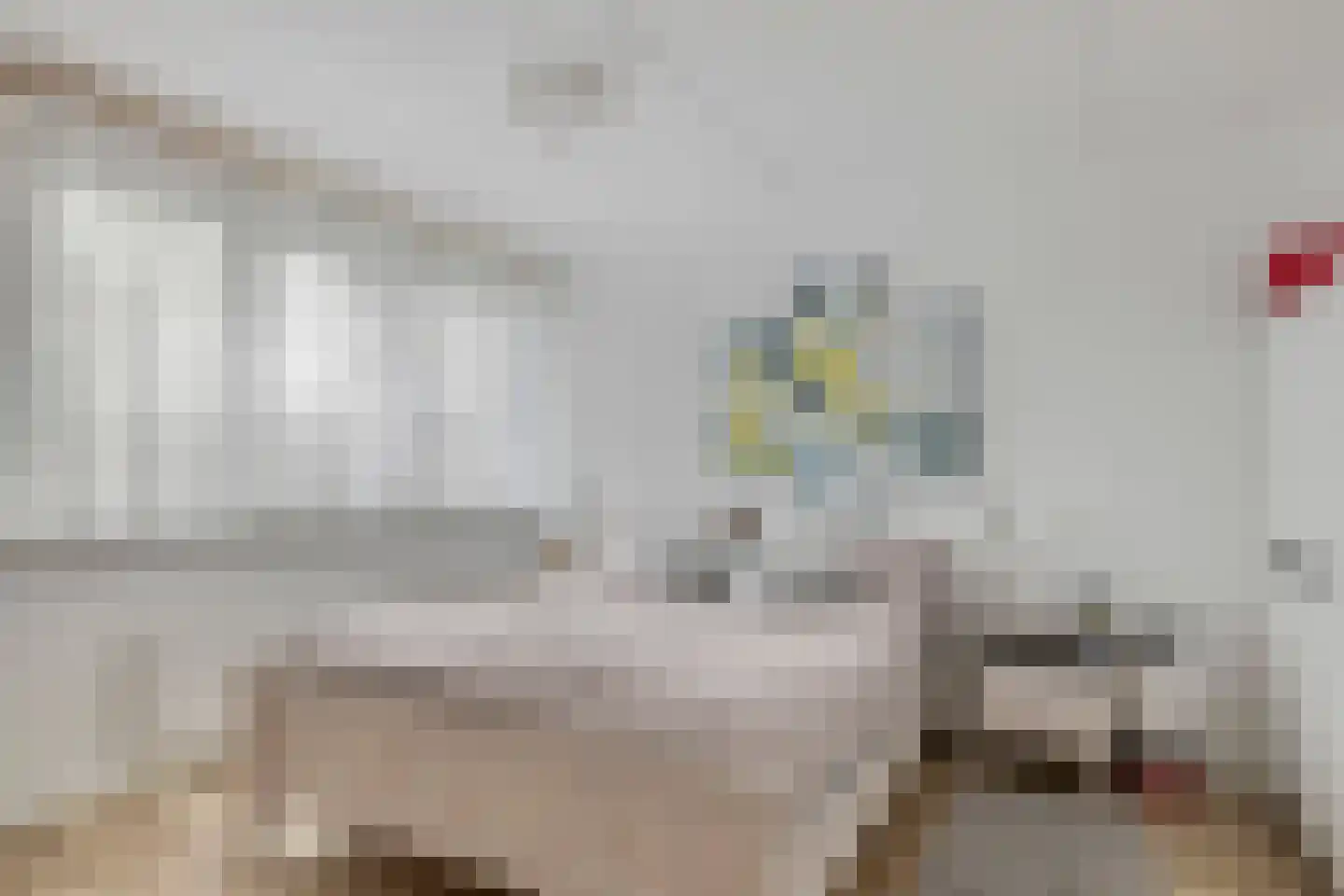 de Roerdomp 36 Denekamp thumbnail 15