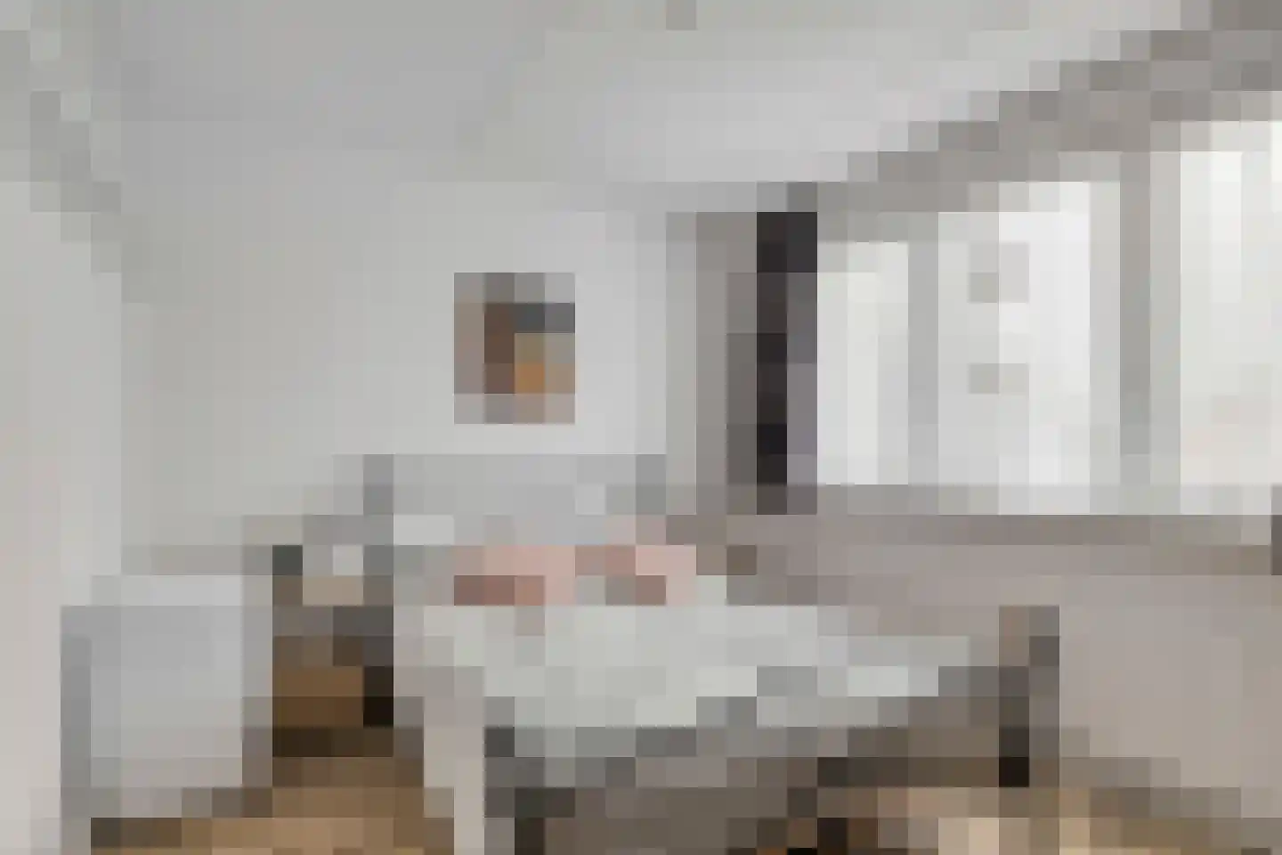 de Roerdomp 36 Denekamp thumbnail 18