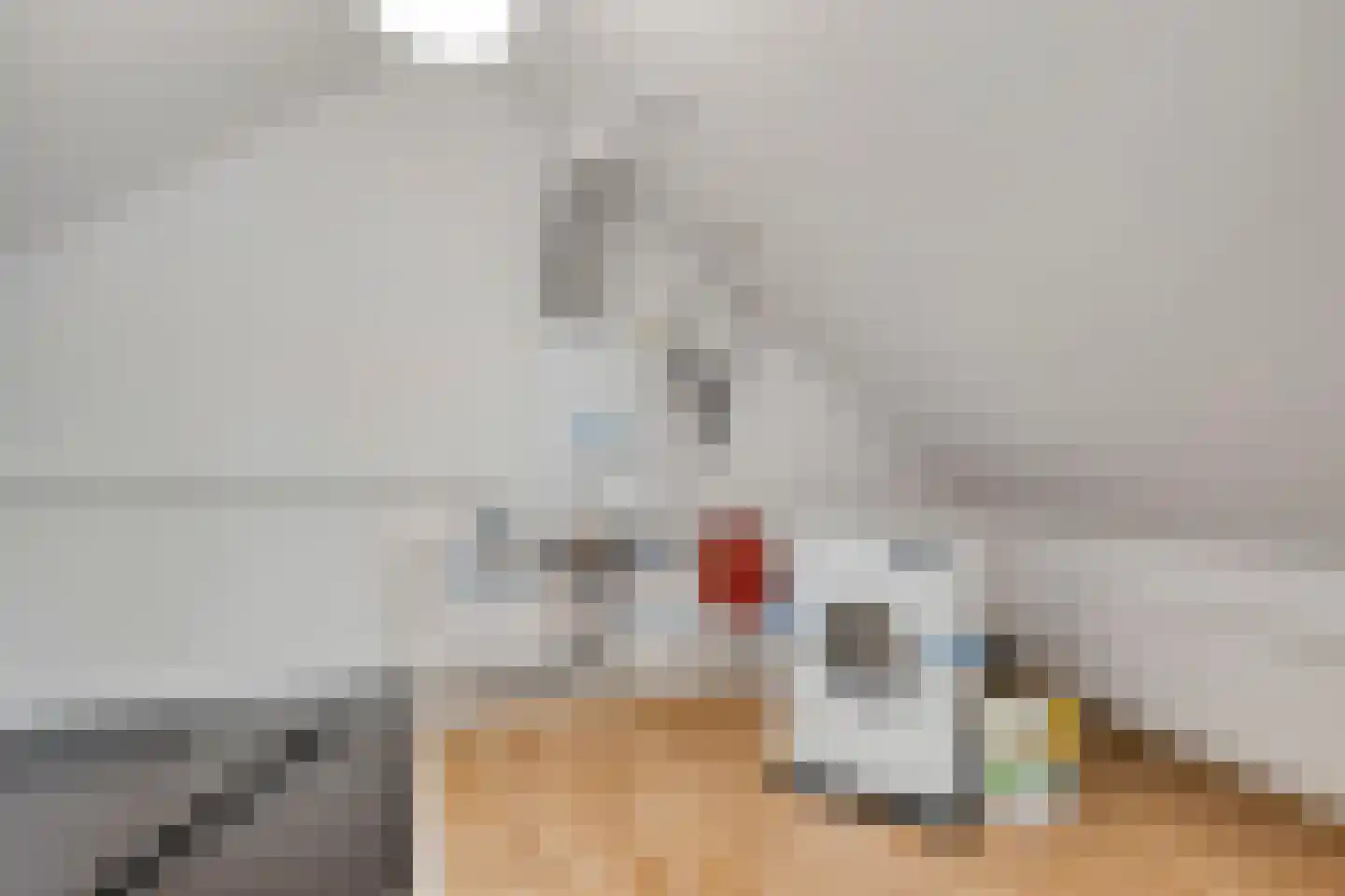 de Roerdomp 36 Denekamp thumbnail 23