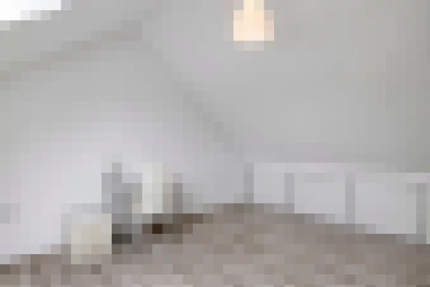 de Roerdomp 36 Denekamp thumbnail 27