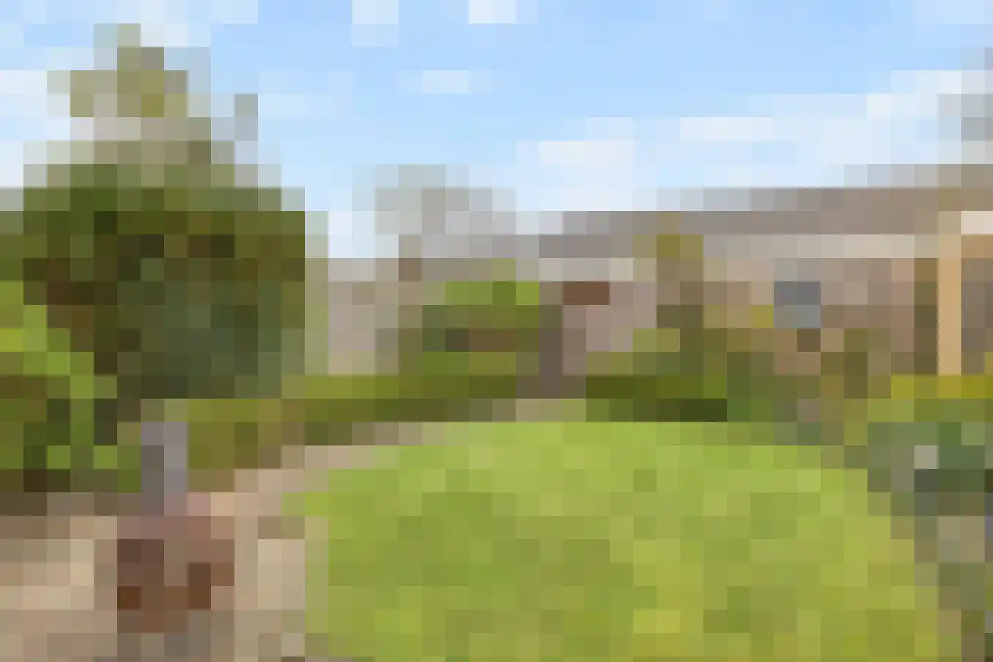 de Roerdomp 36 Denekamp thumbnail 30