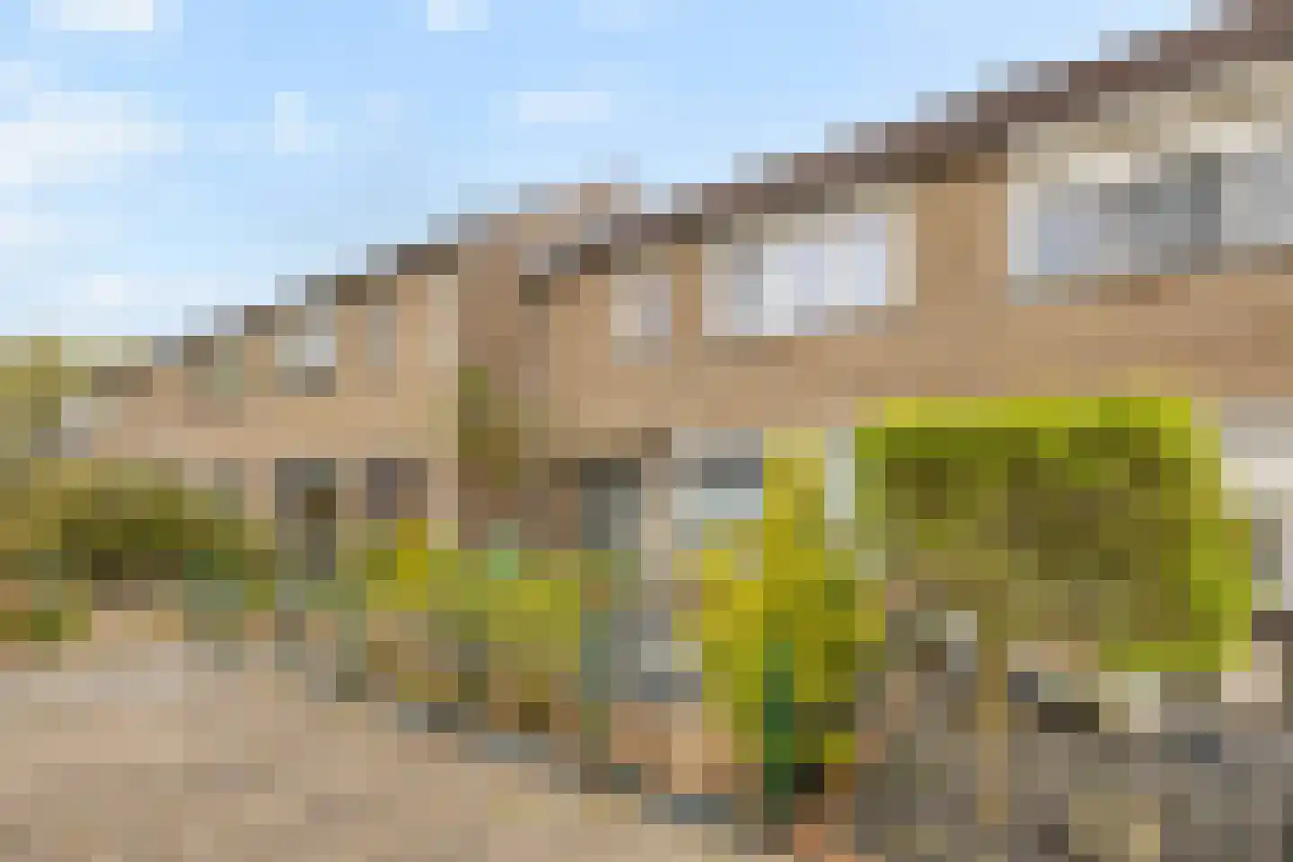 de Roerdomp 36 Denekamp thumbnail 36