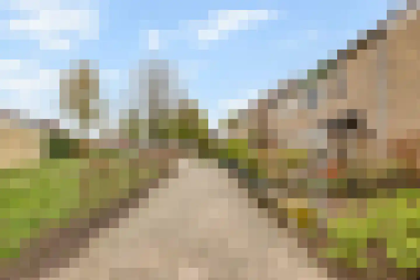 de Roerdomp 36 Denekamp thumbnail 37