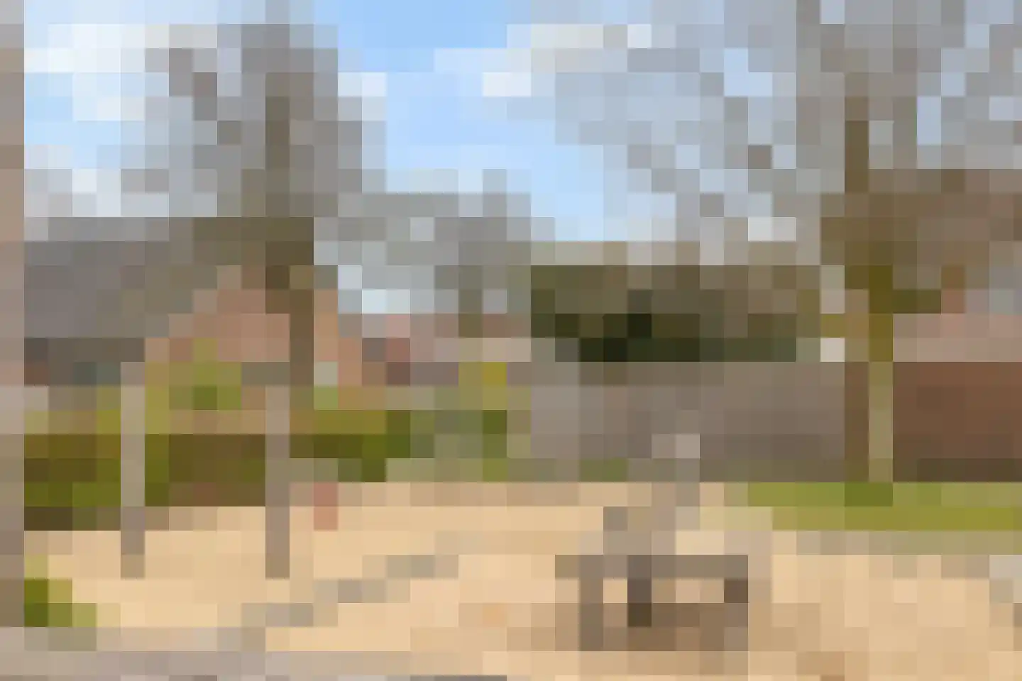 de Roerdomp 36 Denekamp thumbnail 39