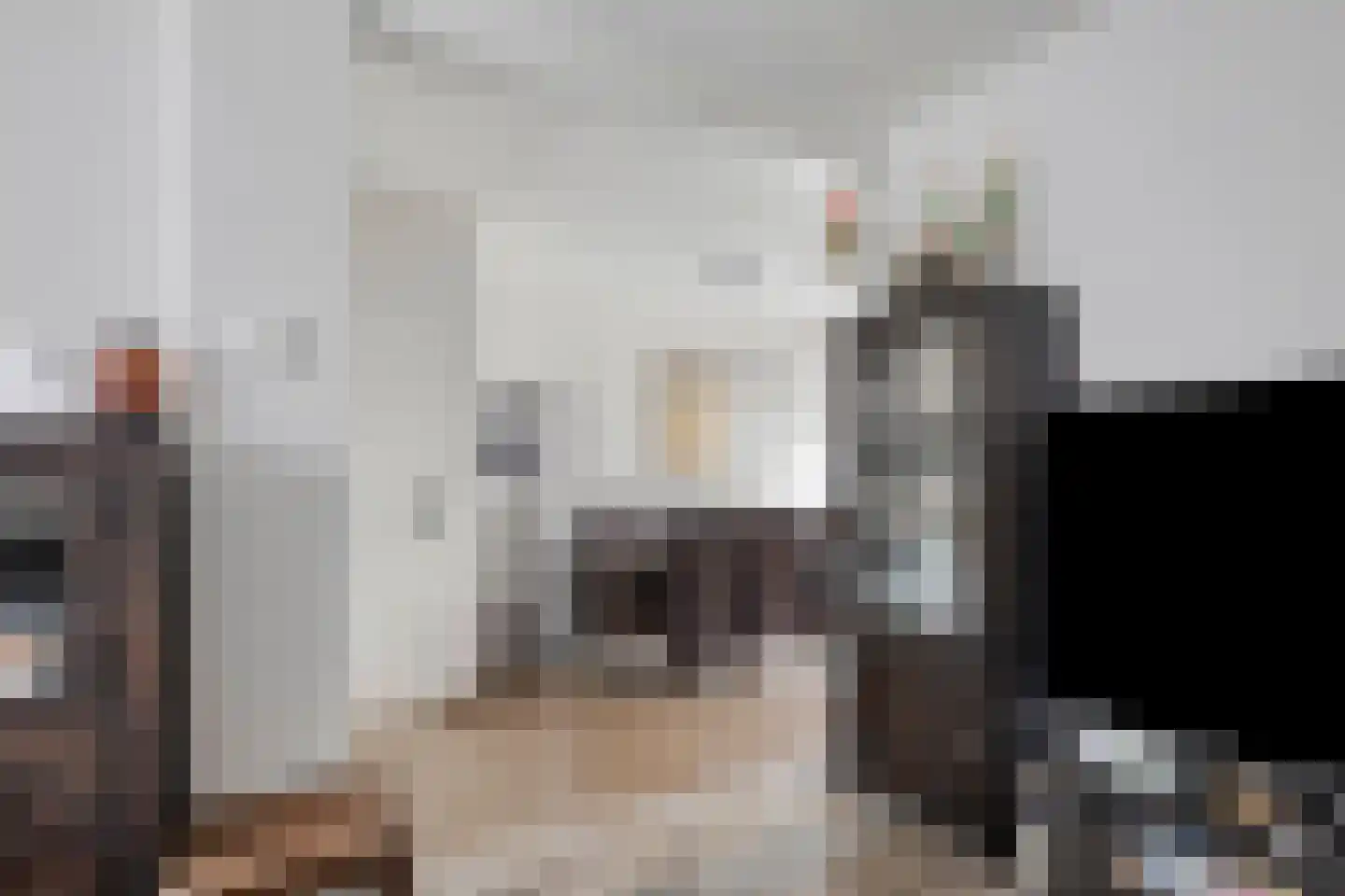 de Roerdomp 36 Denekamp thumbnail 4