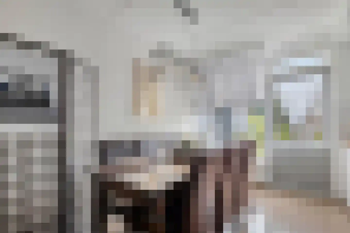 de Roerdomp 36 Denekamp thumbnail 5