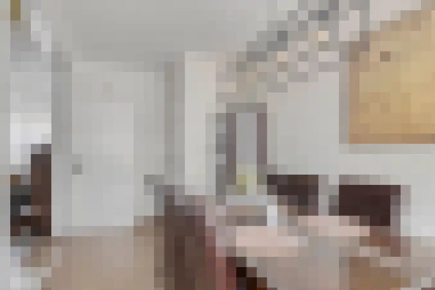 de Roerdomp 36 Denekamp thumbnail 6