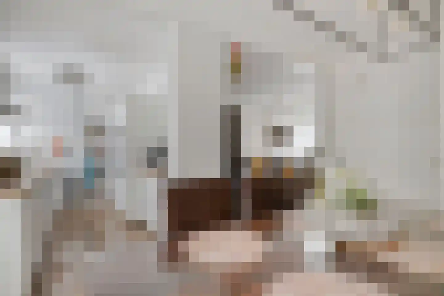 de Roerdomp 36 Denekamp thumbnail 7
