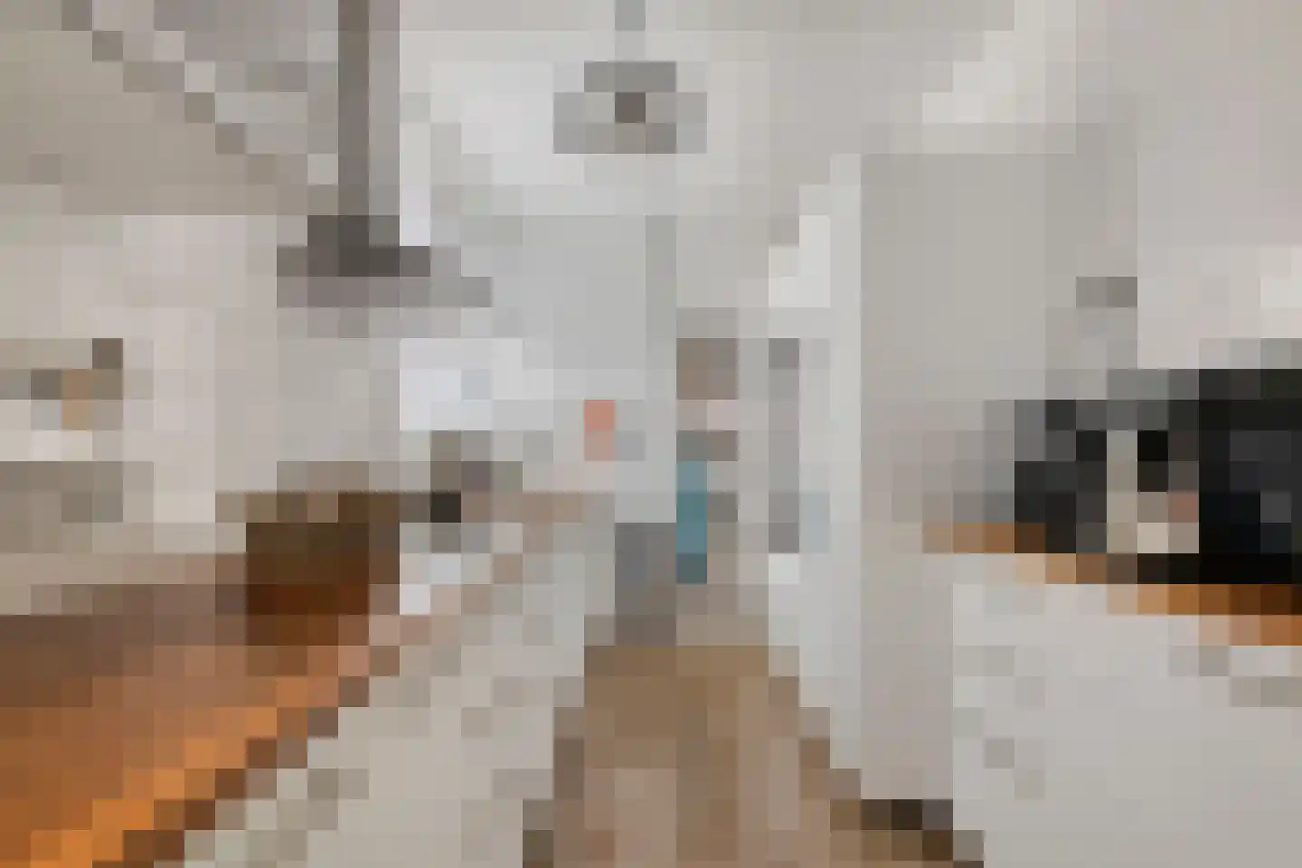 de Roerdomp 36 Denekamp thumbnail 8