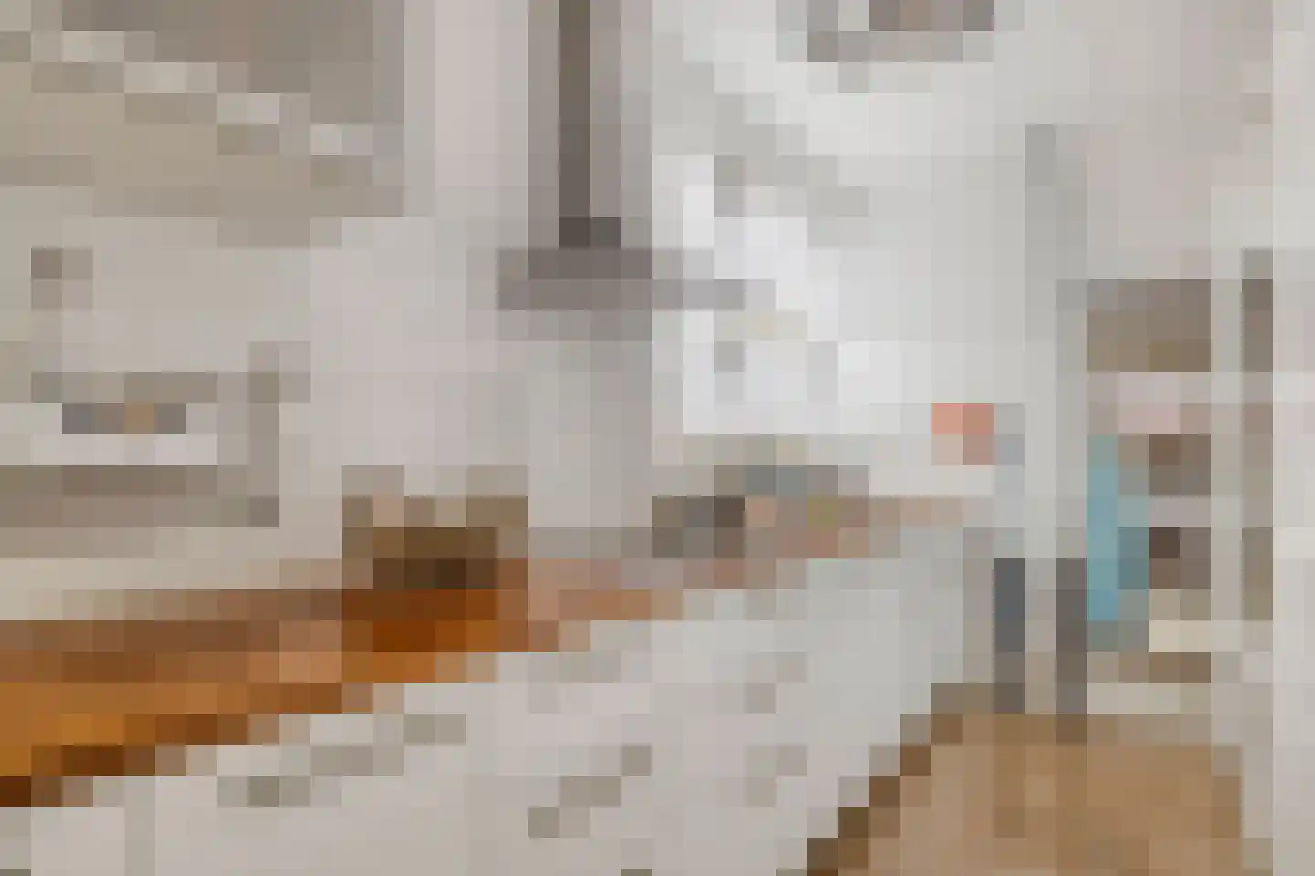 de Roerdomp 36 Denekamp thumbnail 9