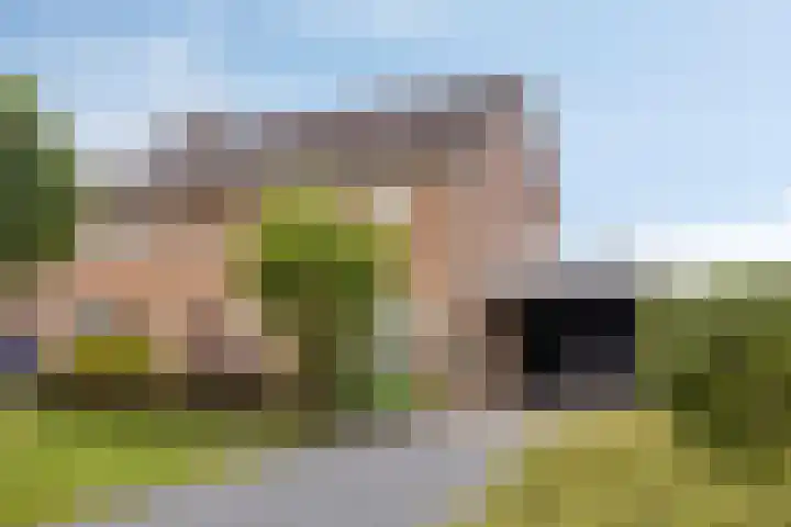 de Roerdomp 39 dans Denekamp
