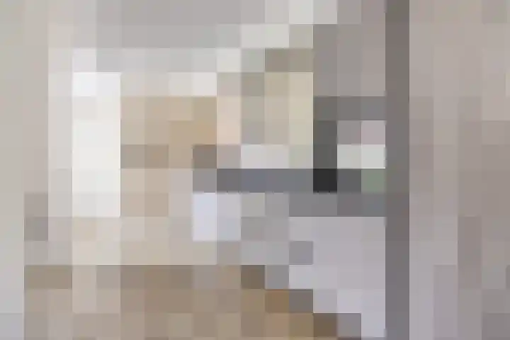 de Roerdomp 42 Denekamp thumbnail 12
