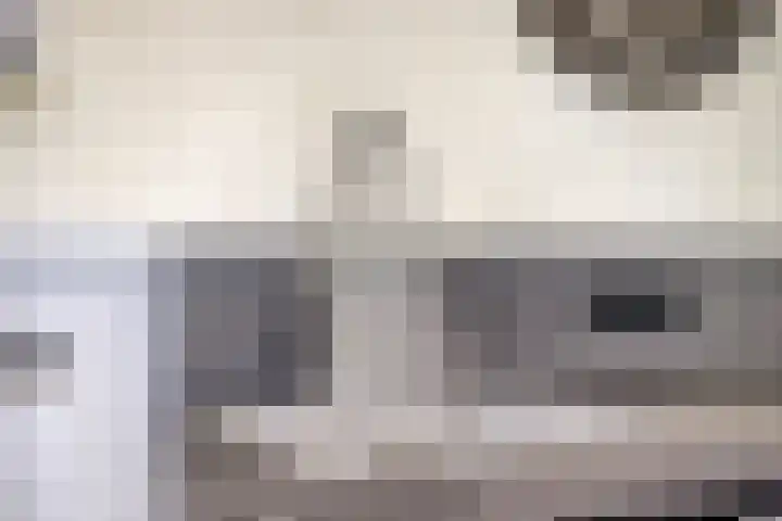 de Roerdomp 42 Denekamp thumbnail 14