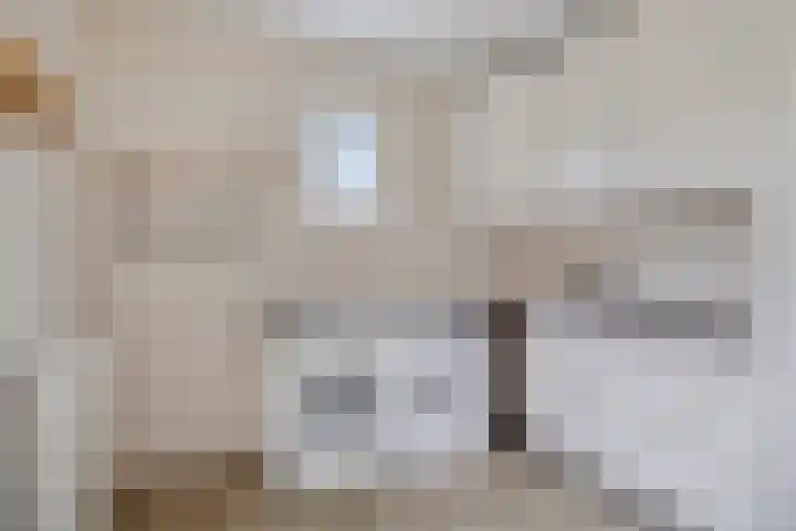 de Roerdomp 42 Denekamp thumbnail 18