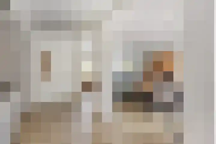 de Roerdomp 42 Denekamp thumbnail 22