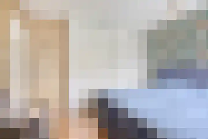de Roerdomp 42 Denekamp thumbnail 26