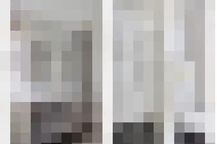 de Roerdomp 42 Denekamp thumbnail 30