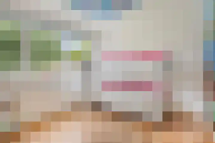 de Roerdomp 42 Denekamp thumbnail 31