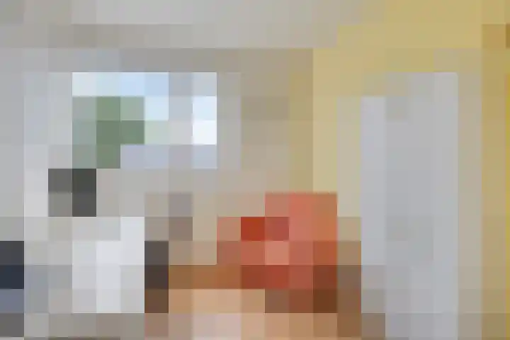 de Roerdomp 42 Denekamp thumbnail 33