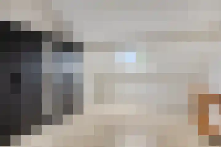 de Roerdomp 42 Denekamp thumbnail 35