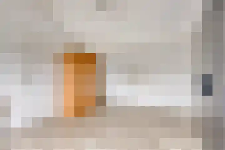 de Roerdomp 42 Denekamp thumbnail 36