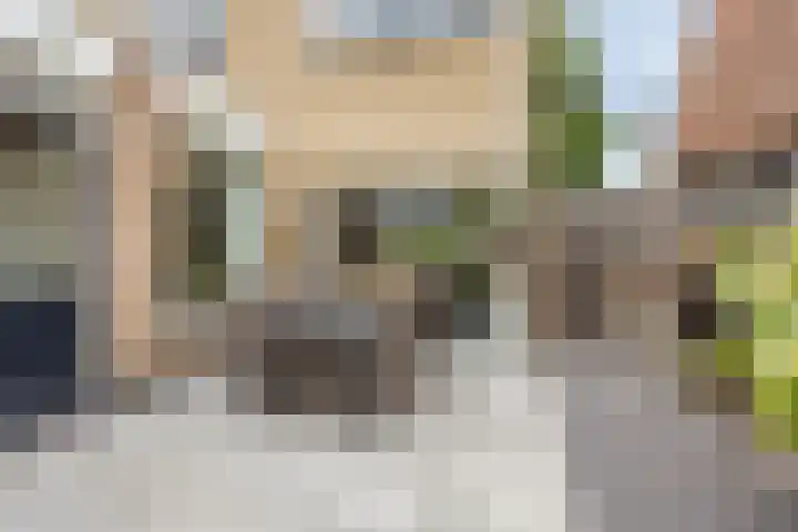 de Roerdomp 42 Denekamp thumbnail 37