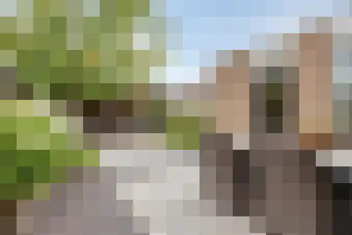 de Roerdomp 42 Denekamp thumbnail 38