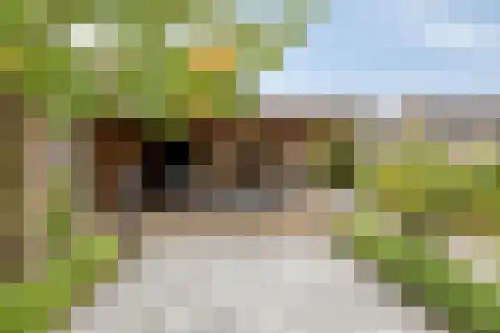de Roerdomp 42 Denekamp thumbnail 39