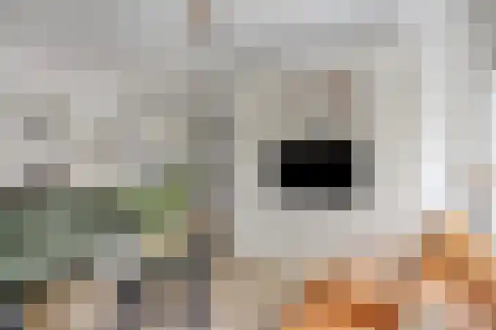 de Roerdomp 42 Denekamp thumbnail 4