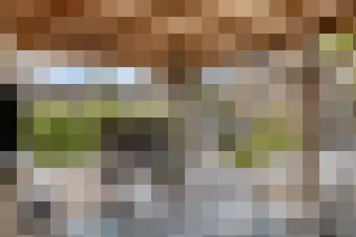 de Roerdomp 42 Denekamp thumbnail 40