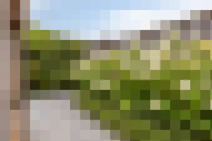 de Roerdomp 42 Denekamp thumbnail 42