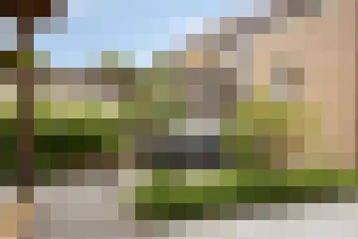 de Roerdomp 42 Denekamp thumbnail 43