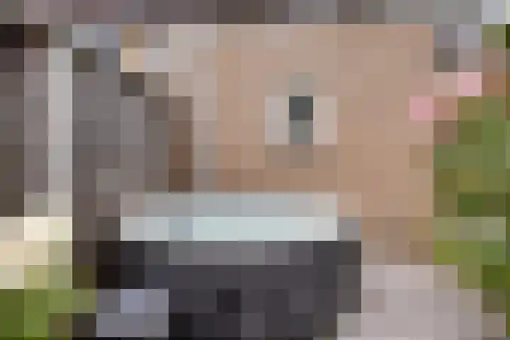 de Roerdomp 42 Denekamp thumbnail 44