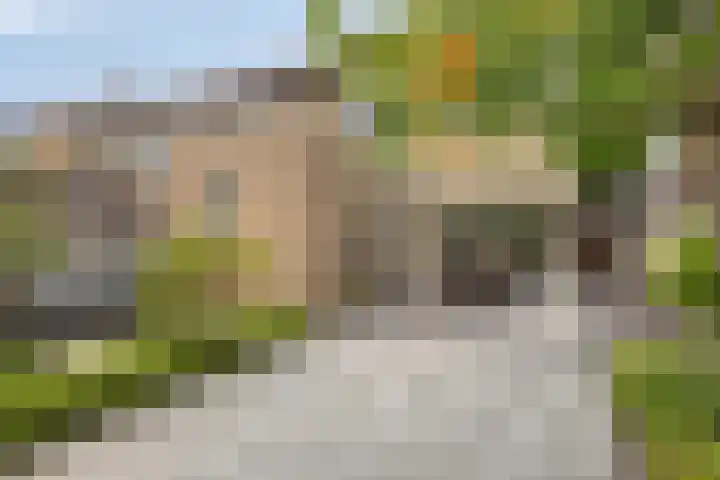 de Roerdomp 42 Denekamp thumbnail 45
