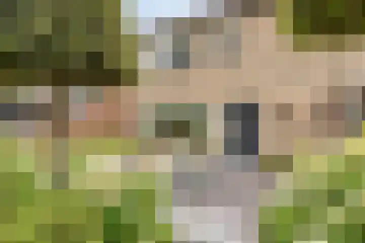 de Roerdomp 42 Denekamp thumbnail 46