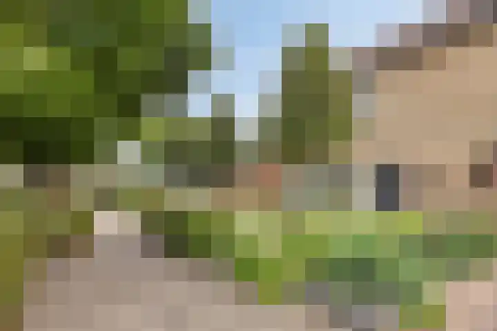 de Roerdomp 42 Denekamp thumbnail 47