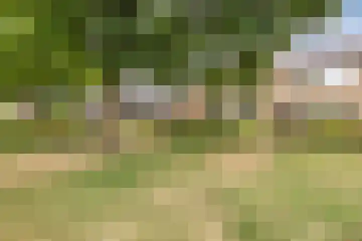 de Roerdomp 42 Denekamp thumbnail 48