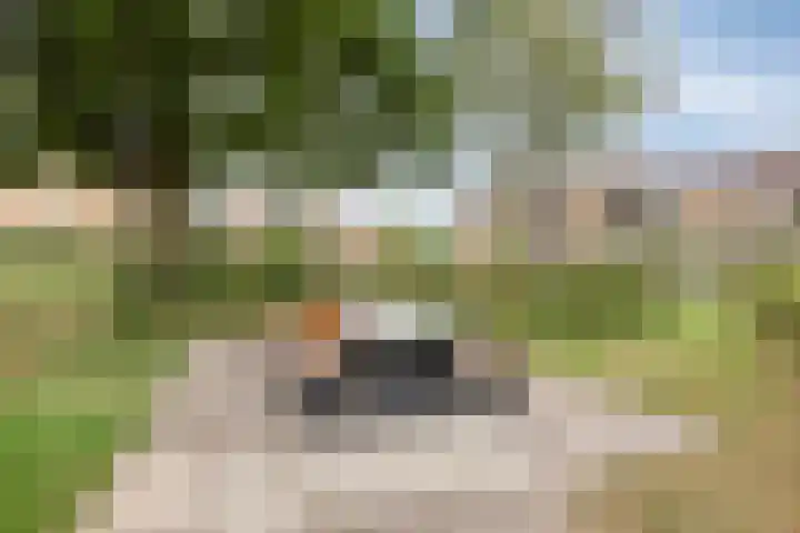 de Roerdomp 42 Denekamp thumbnail 49