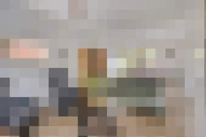 de Roerdomp 42 Denekamp thumbnail 5