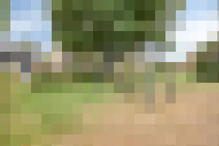 de Roerdomp 42 Denekamp thumbnail 50