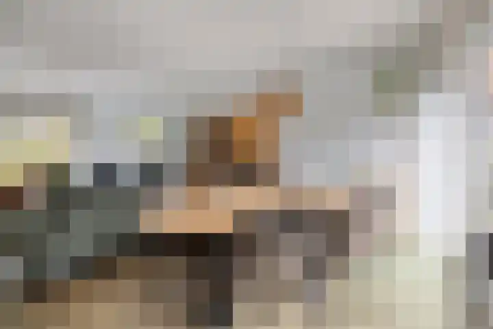 de Roerdomp 42 Denekamp thumbnail 6