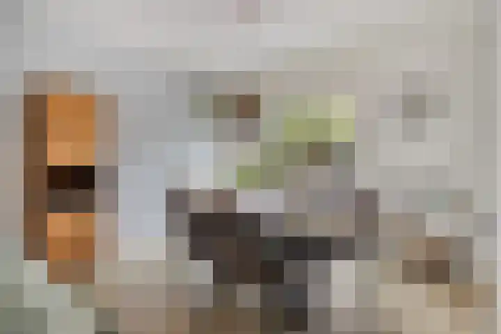de Roerdomp 42 Denekamp thumbnail 7